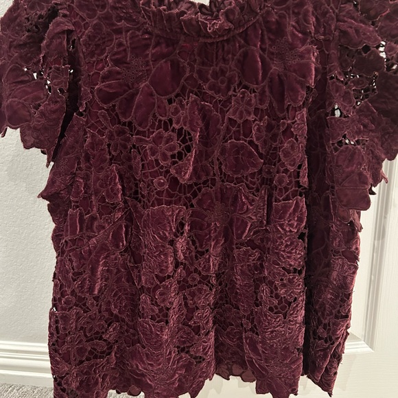 Anthropologie Velvet Blouse - Picture 4 of 4